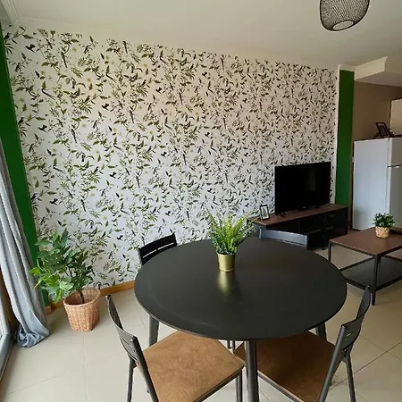 Verde, Amplio Apartamento En Sanxenxo